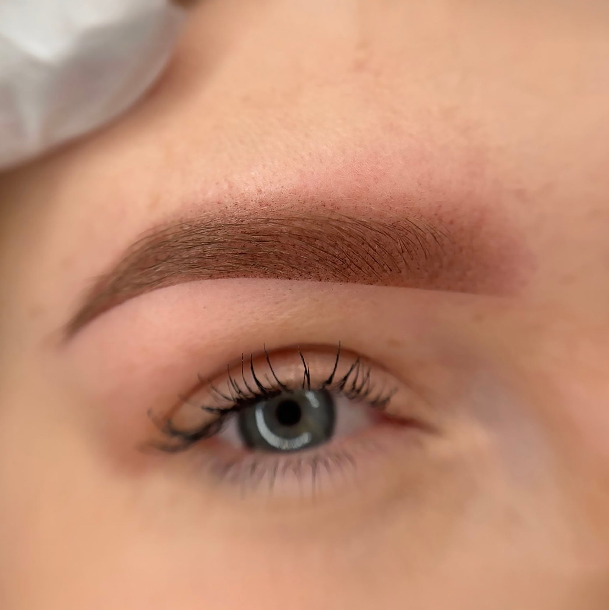 Frische Powder Brows nach Permanent Make-up mit sanfter Schattierung, gleichmäßiger Pigmentimplantation und natürlichem Verlauf